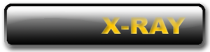 Icon xray.png
